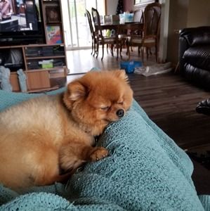 Meet your Posher, Bryan